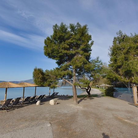 Kalafatis Beach Home Itéa Kültér fotó