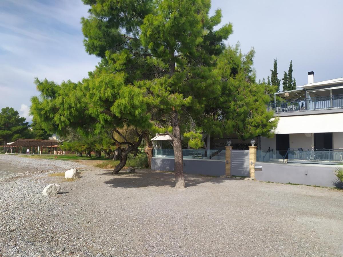 Kalafatis Beach Home Itéa Kültér fotó